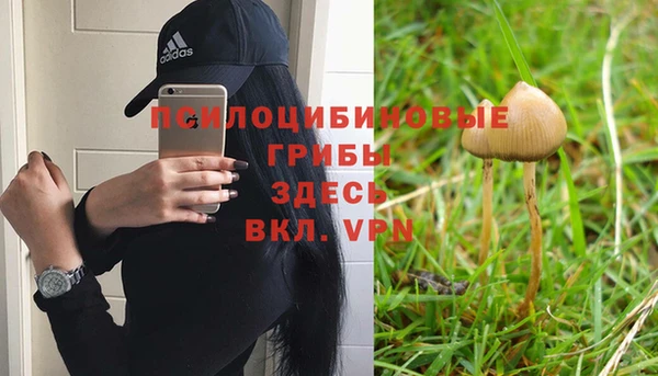 2c-b Нижний Тагил