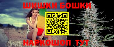 гашик Донской