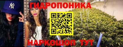 spice Дубна